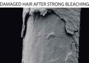 damaged hair